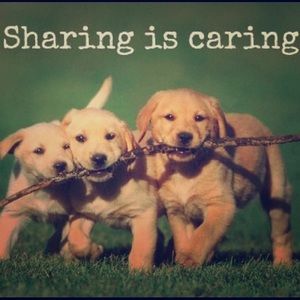 Sharing is caring!